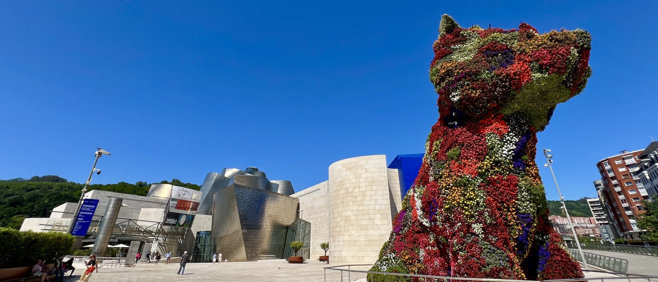 Digital nomad friends reconnect over food & culture in Bilbao & San Sebastian, Spain